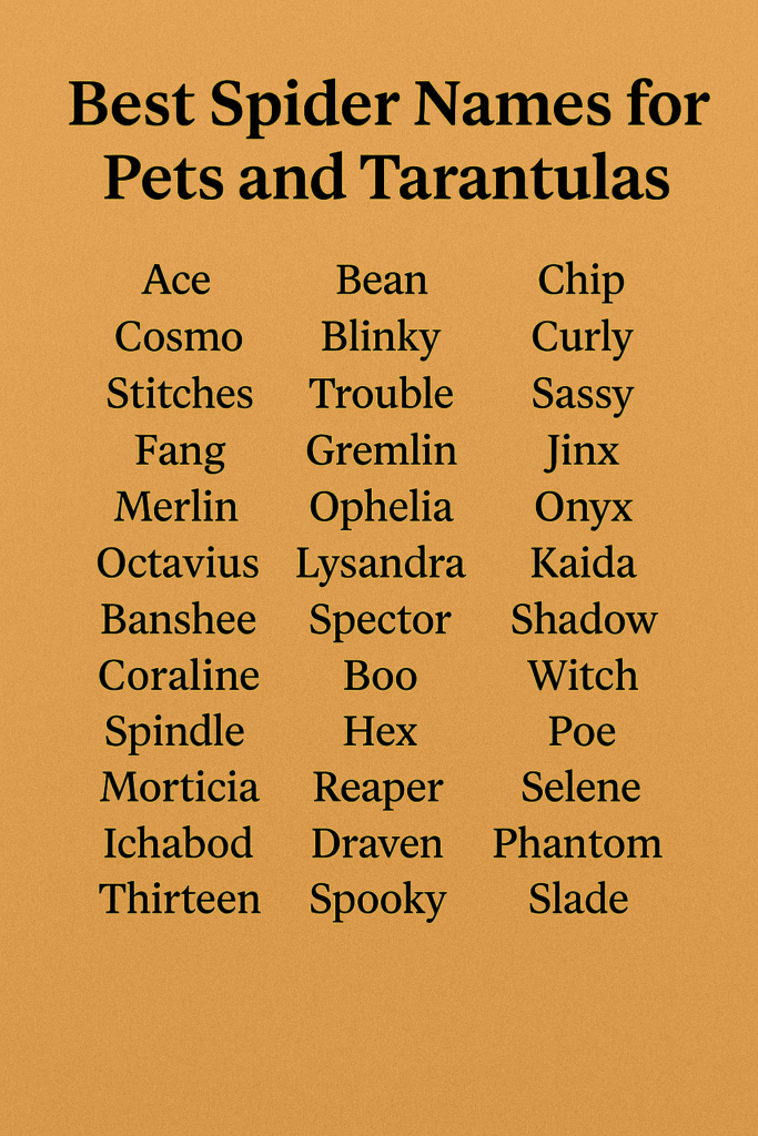 1100+ Best Spider Names for Pets and Tarantulas