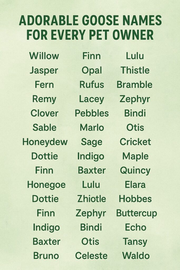 1000+ Adorable Goose Names for Every Pet Owner