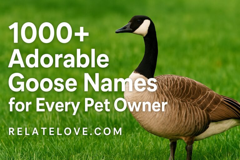 1000+ Adorable Goose Names for Every Pet Owner