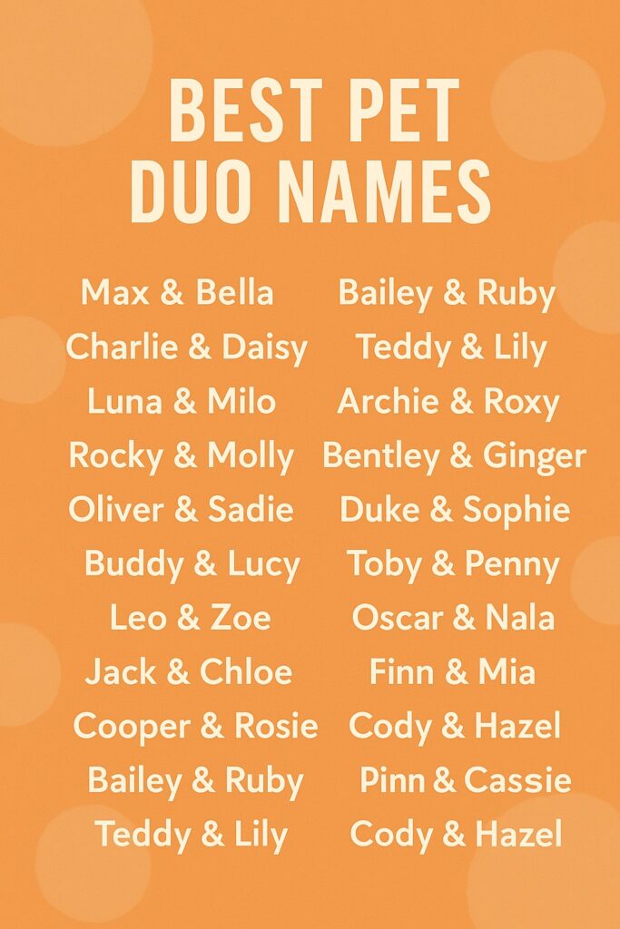 1000+ Cute and Funny Duo Names for Pets You’ll Love