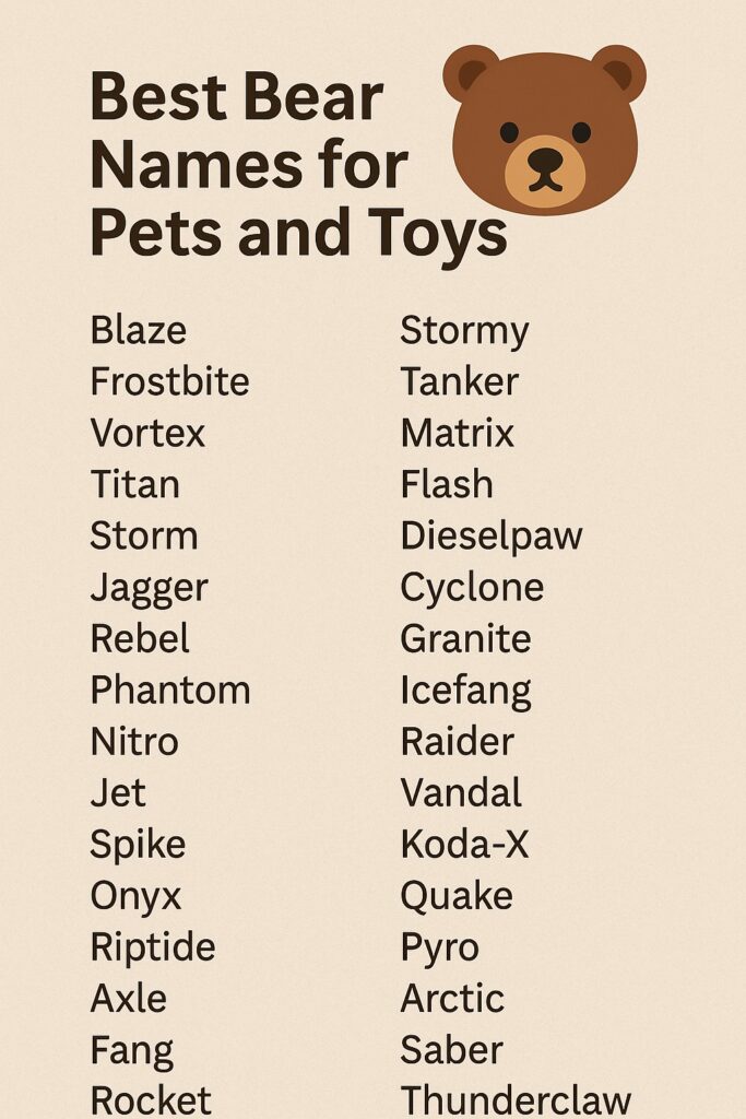 1000+ Best Bear Names for Pets and Toys
