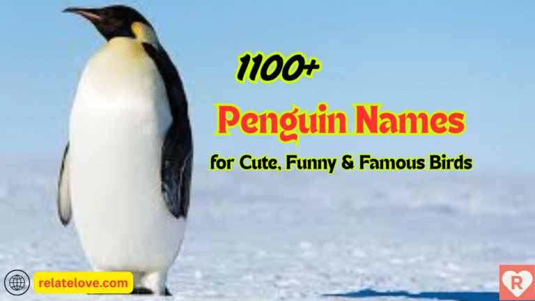 1100+ Penguin Names for Cute, Funny & Famous Birds