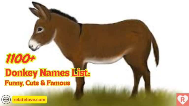 1100+ Donkey Names List: Funny, Cute & Famous