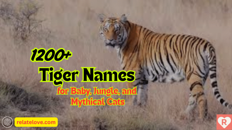 1200+ Tiger Names for Baby, Jungle, and Mythical Cats