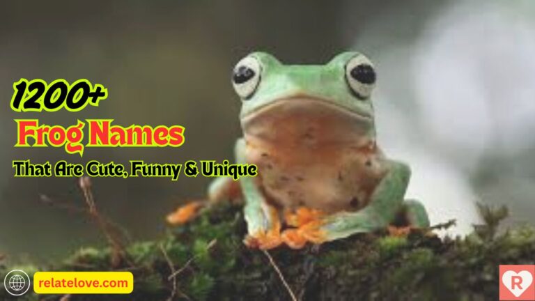 1200+ Frog Names That Are Cute, Funny & Unique