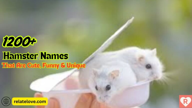1200+ Hamster Names That Are Cute, Funny & Unique