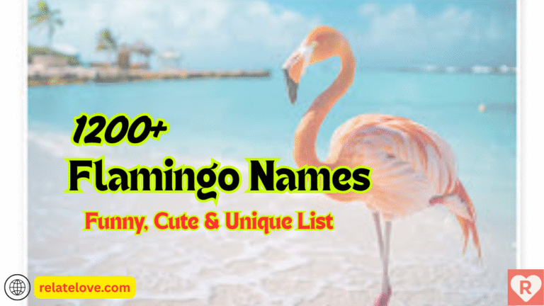 1200+ Flamingo Names: Funny, Cute & Unique List