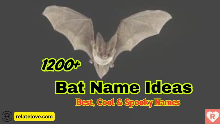 1200+ Bat Name Ideas: Best, Cool & Spooky Names