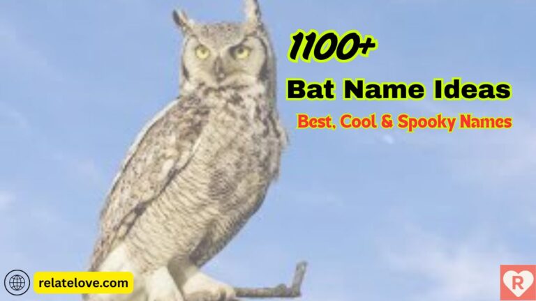 1100+ Owl Names That Are Cute, Funny & Unique Ideas