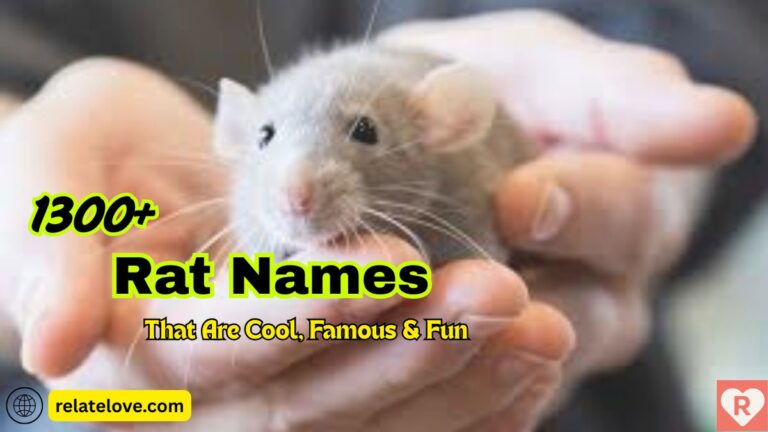 1300+ Rat Names That Are Cool, Famous & Fun Picks