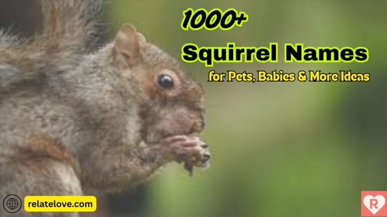 1000+ Squirrel Names for Pets, Babies & More Ideas