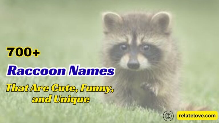 700+ Raccoon Names That Are Cute, Funny, and Unique