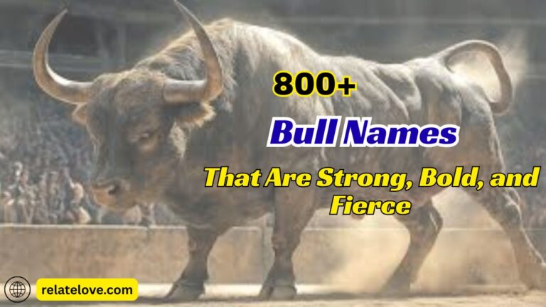 800+ Bull Names That Are Strong, Bold, and Fierce