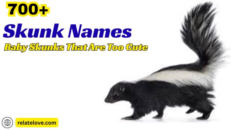 700+ Skunk Names for Baby Skunks That Are Too Cute