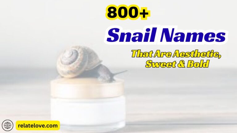 800+ Snail Names That Are Aesthetic, Sweet & Bold