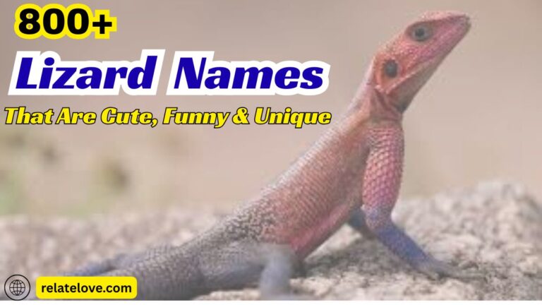 800+ Lizard Names That Are Cute, Funny & Unique