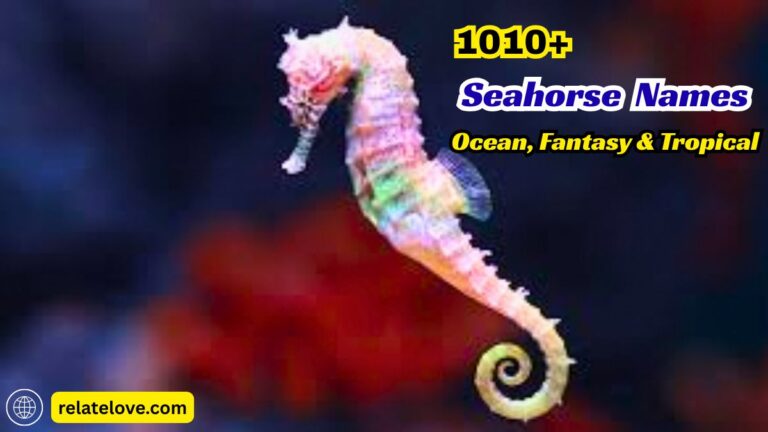 1010+ Seahorse Names: Ocean, Fantasy & Tropical