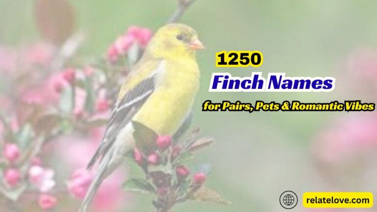1250+ Finch Names for Pairs, Pets & Romantic Vibes