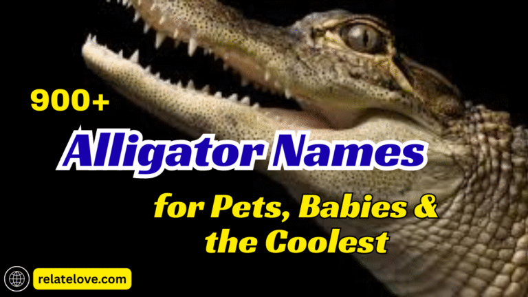 900+ Alligator Names for Pets, Babies & the Coolest