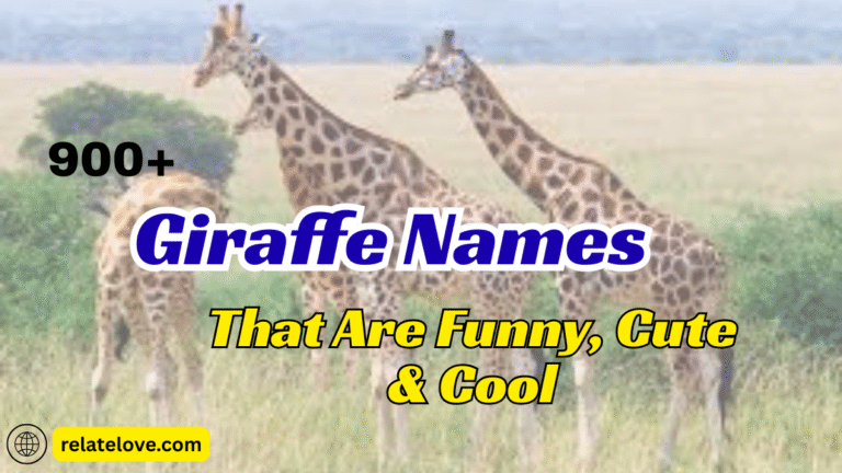 900+ Giraffe Names That Are Funny, Cute & Cool