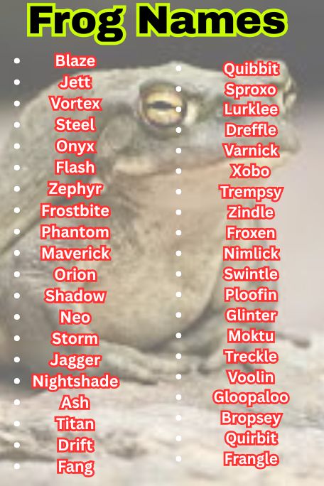 1200+ Frog Names That Are Cute, Funny & Unique