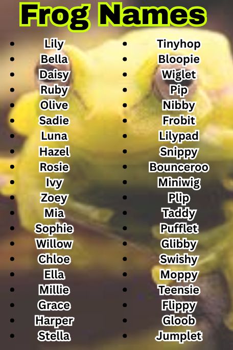 1200+ Frog Names That Are Cute, Funny & Unique