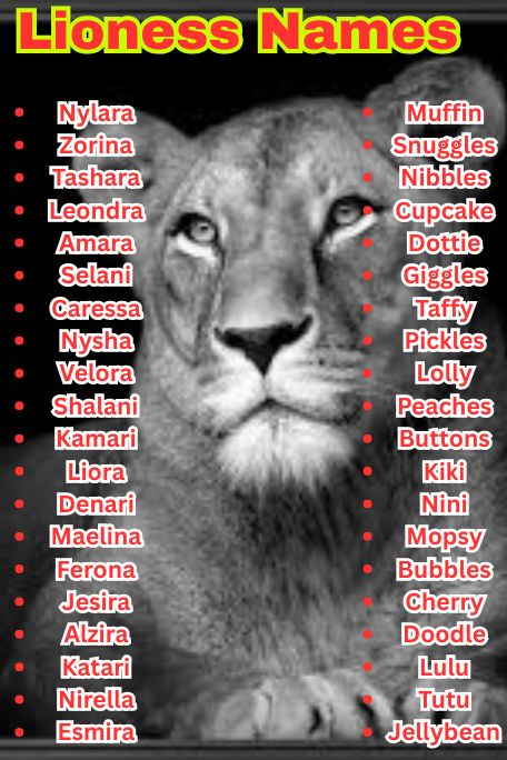 1200+ Lioness Names For Fierce, Cute & Cool Queens