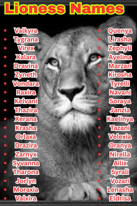 1200+ Lioness Names For Fierce, Cute & Cool Queens