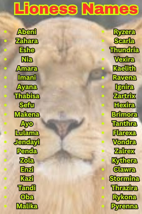 1200+ Lioness Names For Fierce, Cute & Cool Queens
