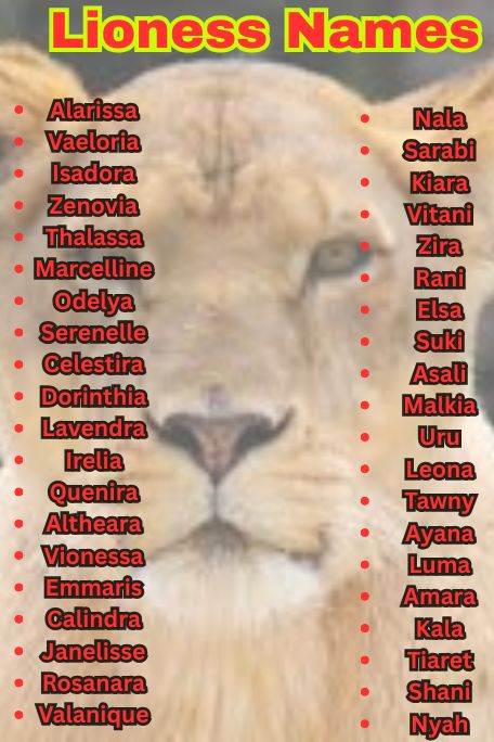 1200+ Lioness Names For Fierce, Cute & Cool Queens