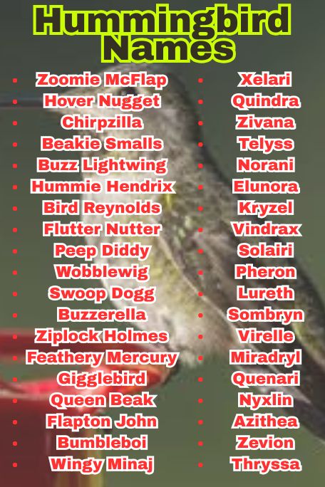 1200+ Hummingbird Names: Funny, Cool & Mythical