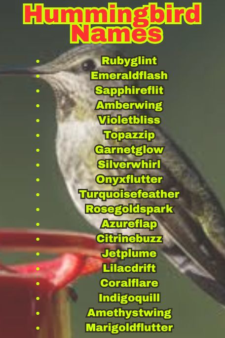 1200+ Hummingbird Names: Funny, Cool & Mythical