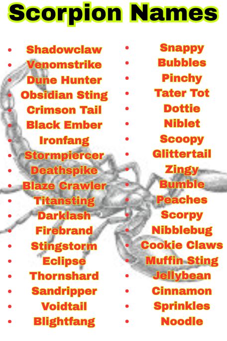 1200+ Scorpion Names for Pets, Desert Vibes & Colorful
