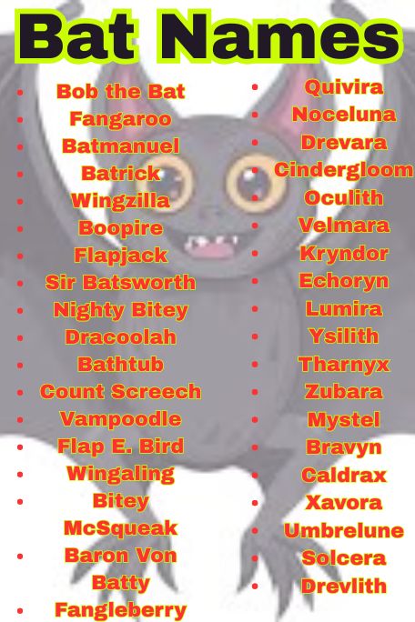 1200+ Bat Name Ideas: Best, Cool & Spooky Names