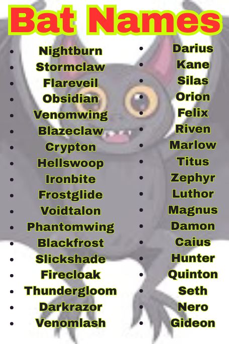 1200+ Bat Name Ideas: Best, Cool & Spooky Names