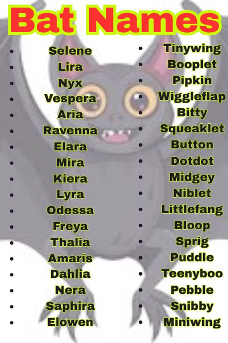 1200+ Bat Name Ideas: Best, Cool & Spooky Names