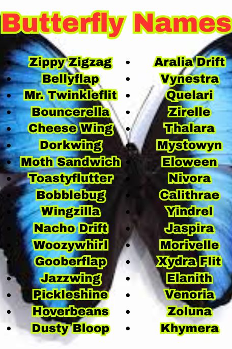 1100+ Butterfly Names: Best, Cute, and Unique Picks