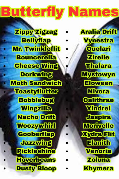 1100+ Butterfly Names: Best, Cute, and Unique Picks
