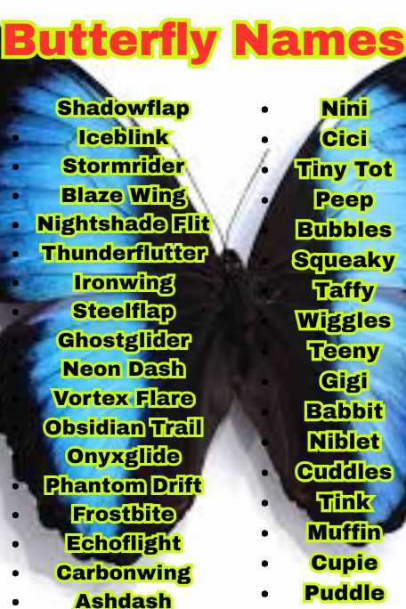 1100+ Butterfly Names: Best, Cute, and Unique Picks