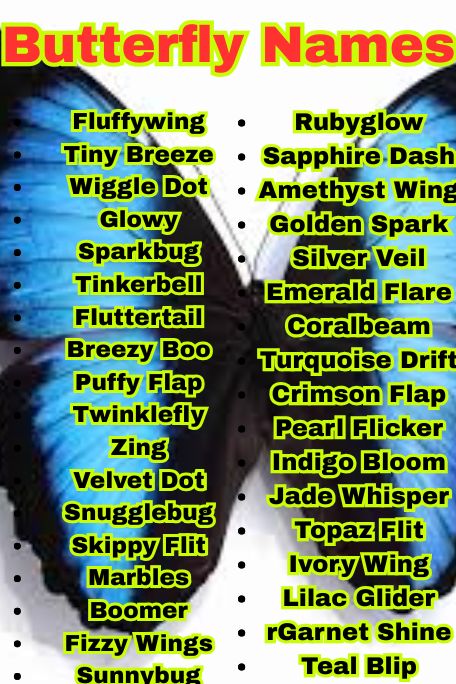 1100+ Butterfly Names: Best, Cute, and Unique Picks