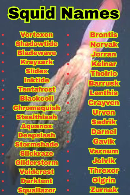 1200+ Squid Names That Are Cute, Funny, and Unique