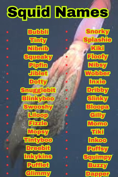 1200+ Squid Names That Are Cute, Funny, and Unique