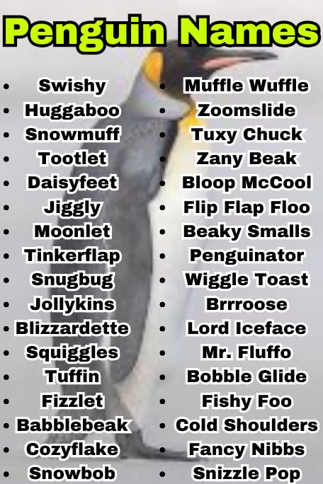 1100+ Penguin Names for Cute, Funny & Famous Birds