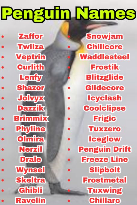 1100+ Penguin Names for Cute, Funny & Famous Birds