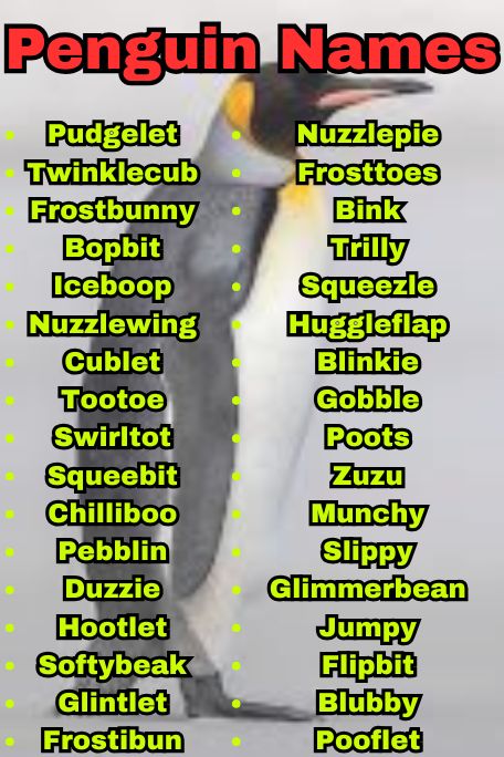 1100+ Penguin Names for Cute, Funny & Famous Birds