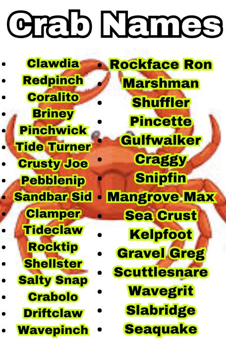 800+ Crab Names You’ve Never Heard Before Ever