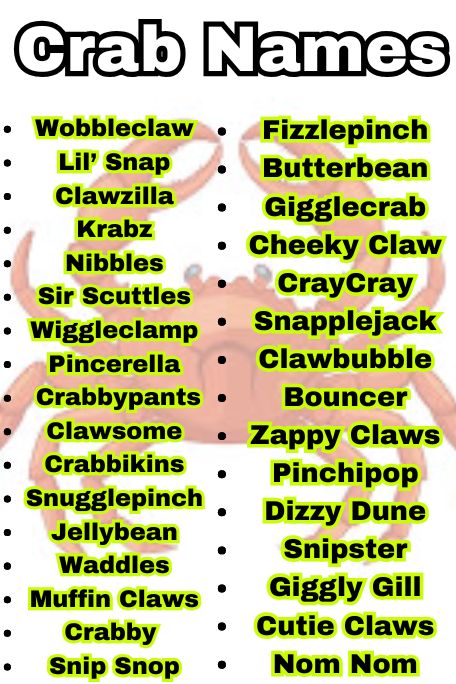 800+ Crab Names You’ve Never Heard Before Ever