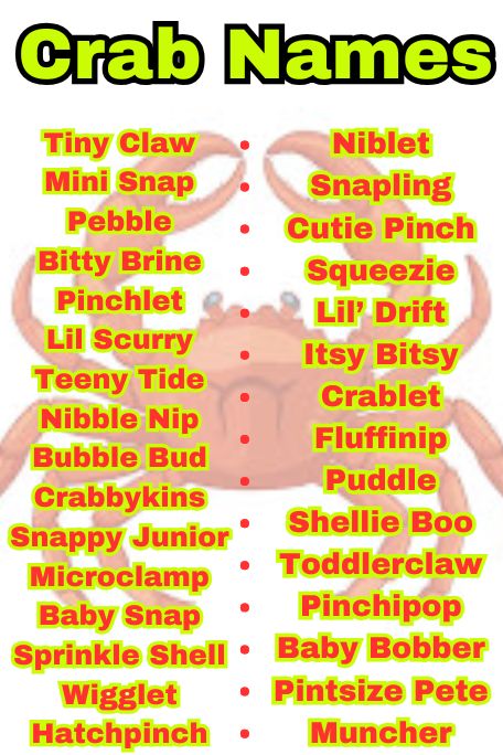 800+ Crab Names You’ve Never Heard Before Ever