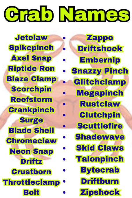 800+ Crab Names You’ve Never Heard Before Ever