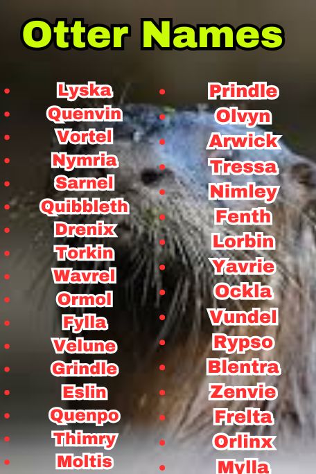 800+ Otter Names That Suit Every Type of Otter 